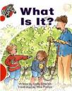 What Is It?